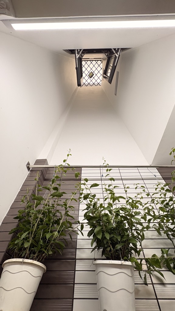 💥 SIÊU PHẨM 5 TẦNG FULL NỘI THẤT – HẺM XE TẢI 8M – KHU NHÀ CAO TẦNG TRƯƠNG THỊ HOA, Q12 - GIÁ CHỈ 7.7 TỶ💥 - Ảnh 7