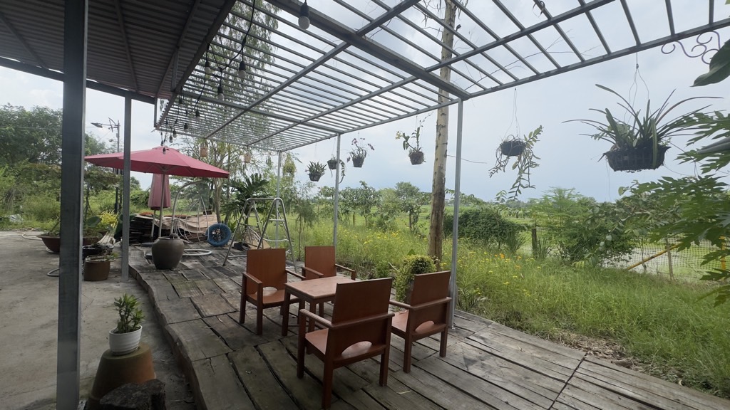 💎 BÁN 5.000m² ĐẤT – GIÁ CHỈ 9.8 TỶ – TẶNG NHÀ VƯỜN NGHỈ DƯỠNG TẠI CỦ CHI 💎 - Ảnh 8