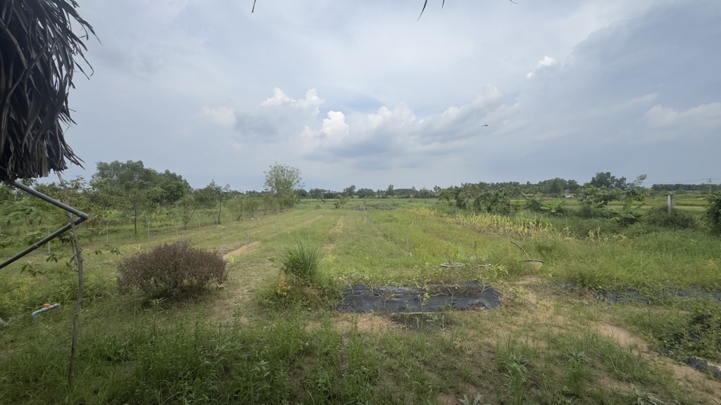 💎 BÁN 5.000m² ĐẤT – GIÁ CHỈ 9.8 TỶ – TẶNG NHÀ VƯỜN NGHỈ DƯỠNG TẠI CỦ CHI 💎 - Ảnh 7