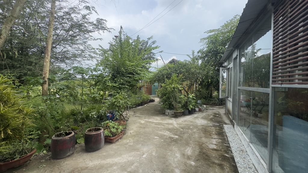 💎 BÁN 5.000m² ĐẤT – GIÁ CHỈ 9.8 TỶ – TẶNG NHÀ VƯỜN NGHỈ DƯỠNG TẠI CỦ CHI 💎 - Ảnh 6