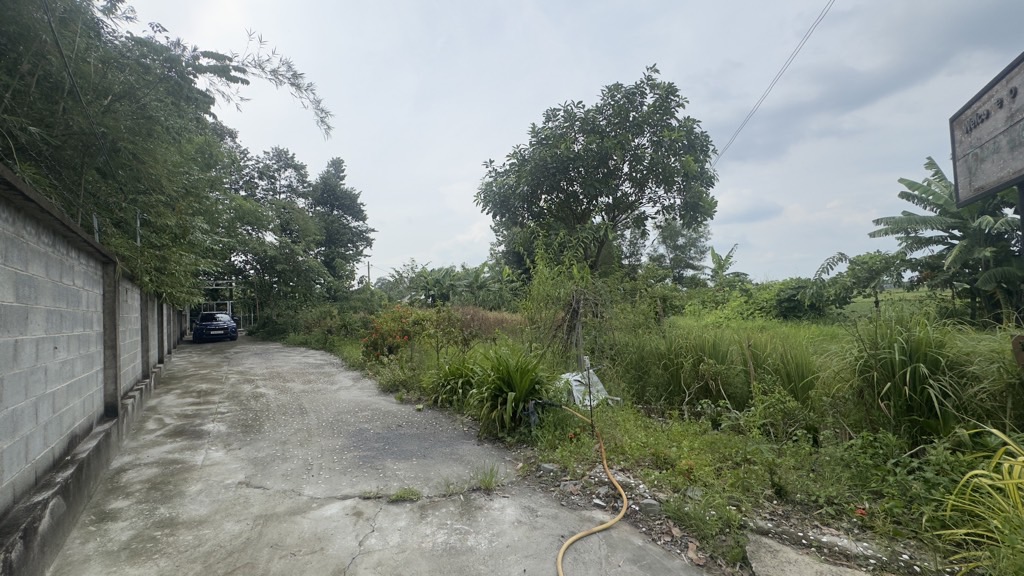 💎 BÁN 5.000m² ĐẤT – GIÁ CHỈ 9.8 TỶ – TẶNG NHÀ VƯỜN NGHỈ DƯỠNG TẠI CỦ CHI 💎 - Ảnh 5