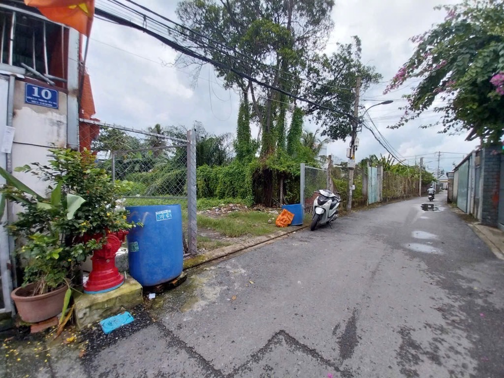 💎 ĐẤT HIẾM Q12 HƠN 300m² – NGANG 8.1m NỞ HẬU 8.8m – HẺM XE TẢI - GIẢM CÒN 11.6T 🌼 - Ảnh 3