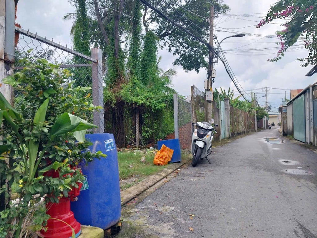 💎 ĐẤT HIẾM Q12 HƠN 300m² – NGANG 8.1m NỞ HẬU 8.8m – HẺM XE TẢI - GIẢM CÒN 11.6T 🌼 - Ảnh 2