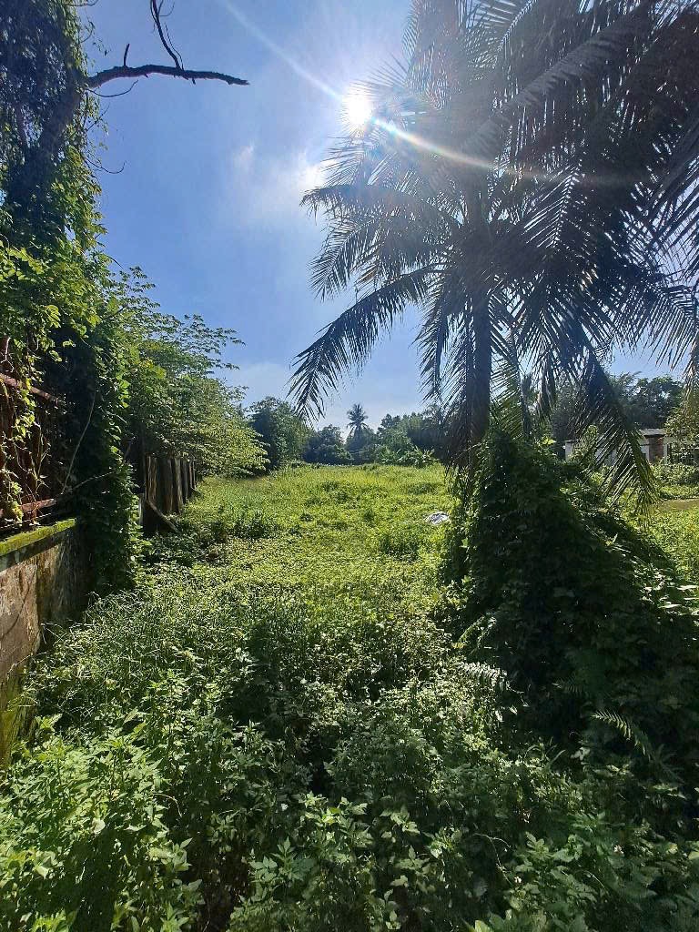 🔥 LÔ GÓC 2 MẶT TIỀN TX52, Q12 – 3 SỔ – GẦN 4000m² – THỔ CƯ 200m² – CHỦ CHÀO 40 T 🔆🔆🔆 - Ảnh 3