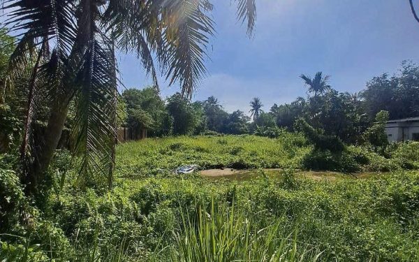 Alternative view of 🔥 LÔ GÓC 2 MẶT TIỀN TX52, Q12 – 3 SỔ – GẦN 4000m² – THỔ CƯ 200m² – CHỦ CHÀO 40 T 🔆🔆🔆