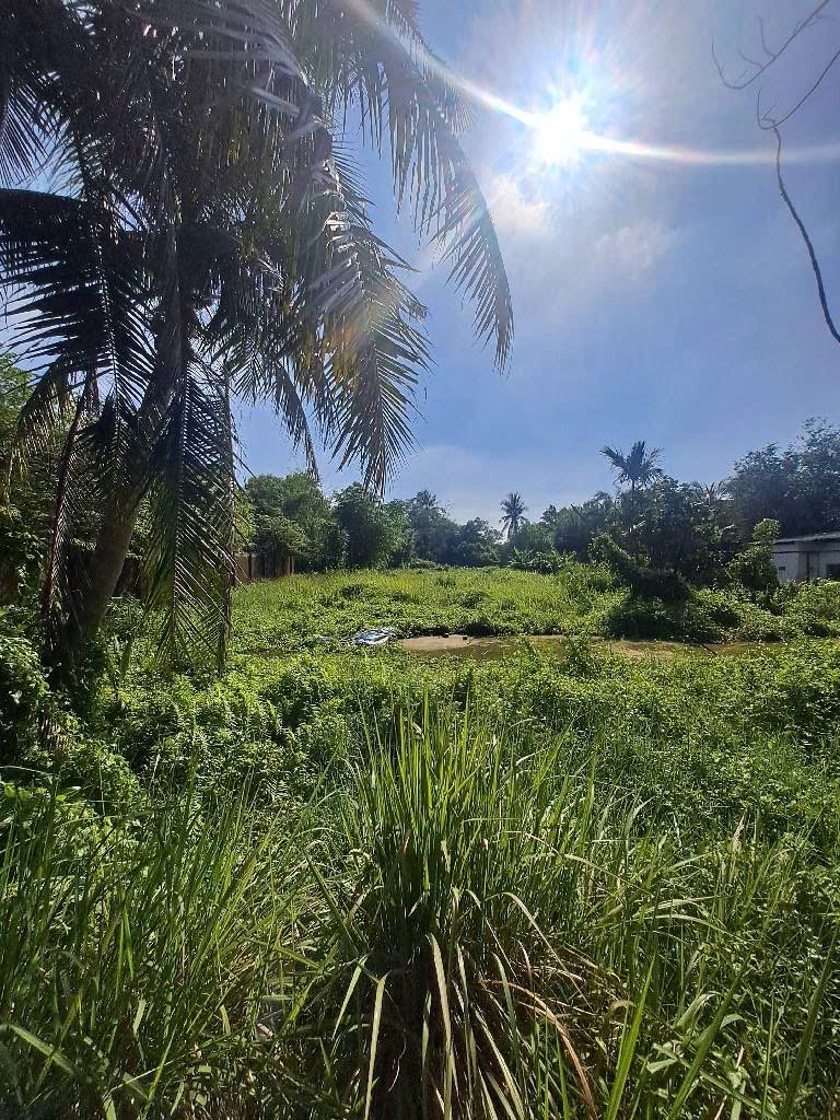 🔥 LÔ GÓC 2 MẶT TIỀN TX52, Q12 – 3 SỔ – GẦN 4000m² – THỔ CƯ 200m² – CHỦ CHÀO 40 T 🔆🔆🔆 - Ảnh 2