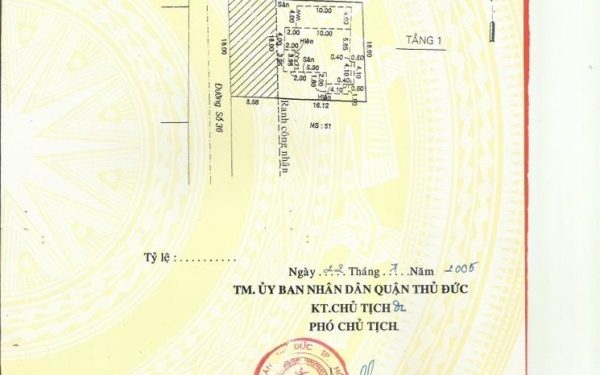Alternative view of 🟢 CHỦ TẶNG SIÊU BIỆT THỰ 05 TẦNG - 18M x 25M - THANG MÁY - 15P TỚI SÂN BAY - GIẢM CHÀO 35T 🔆🔆🔆