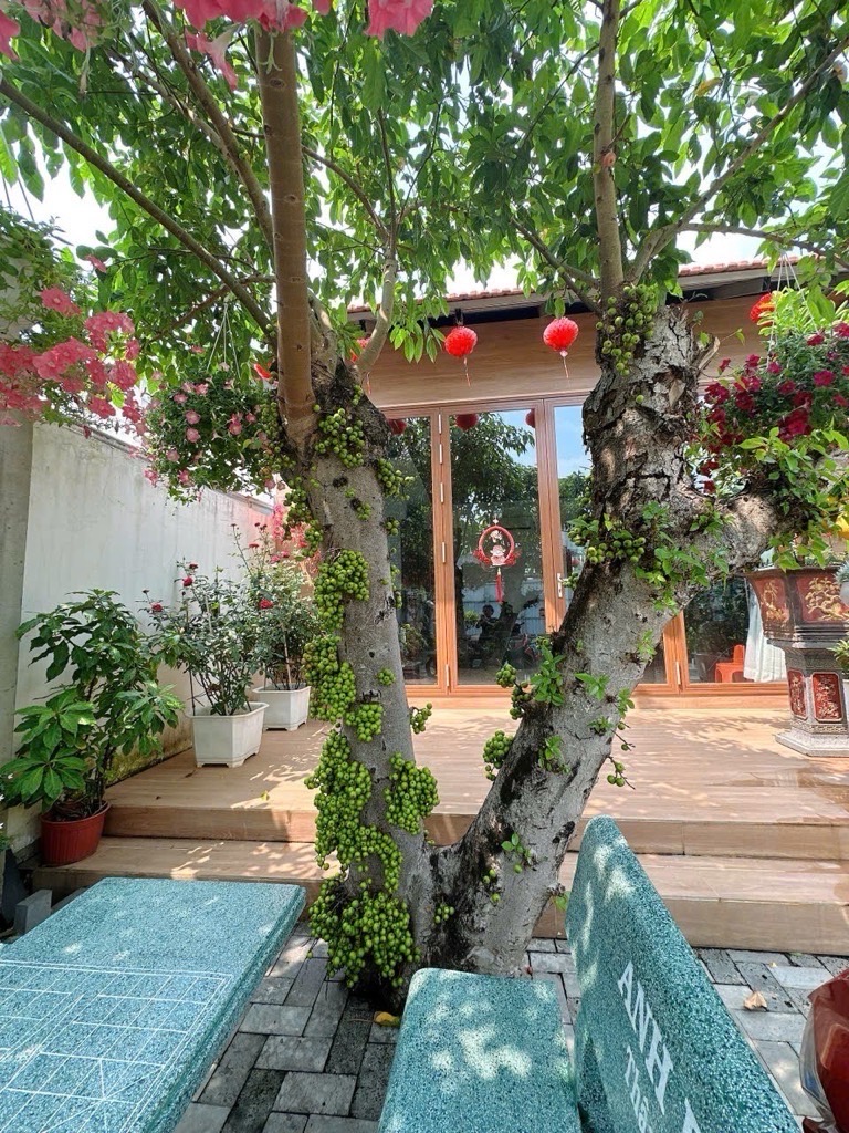 🟢 QUỸ ĐẤT MẶT TIỀN HIẾM Q12 - 25M x 49M - NGAY NGUYỄN VĂN QUÁ - CHỈ 38.5T 🔆🔆🔆 - Ảnh 12