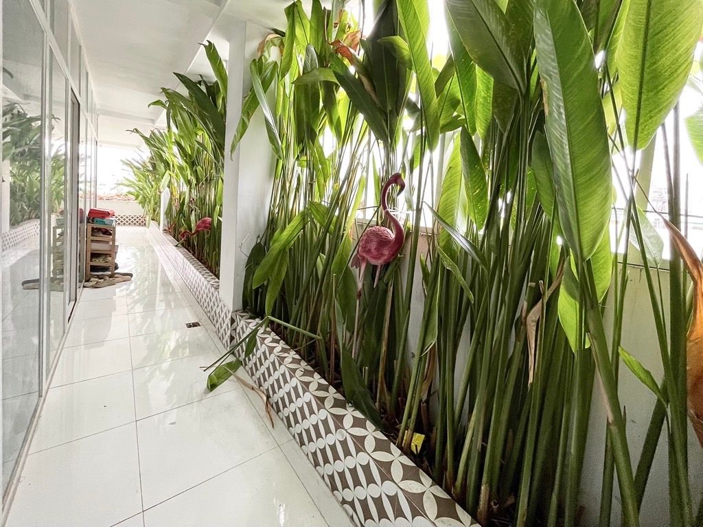 🏢 CHDV 33 PHÒNG- 6 TẦNG THANG MÁY - 8M x 27M - VUA DÒNG TIỀN 2,4T/NĂM - KHU PHÂN LÔ THỐNG NHẤT GV - CHÀO 36.5T 🔆🔆🔆 - Ảnh 6