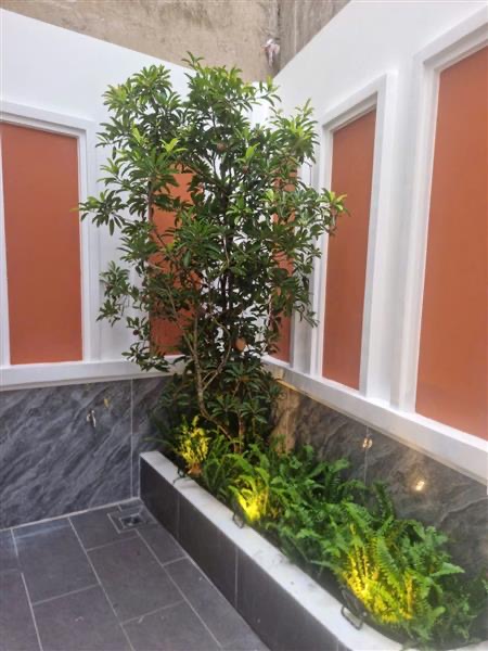 🟢 NHÀ 4 TẦNG QUANG TRUNG - 5.4M x 12M – FULL NT XỊN - HIẾM CHỈ 7T (TL) 🌼 - Ảnh 18