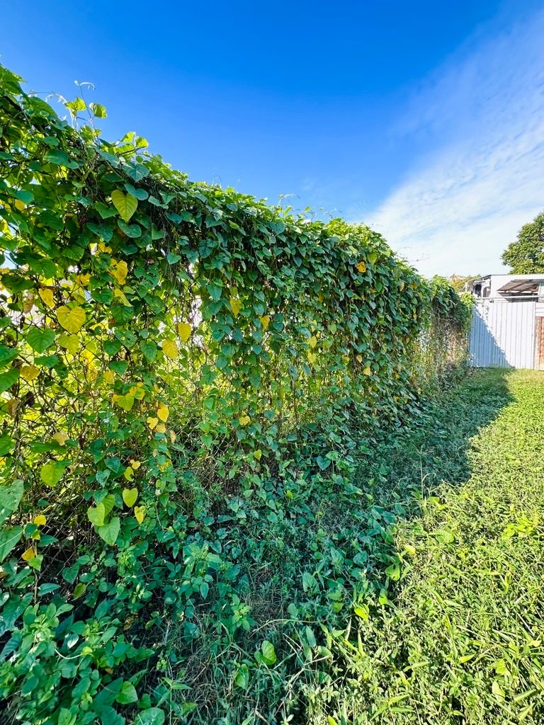 👑SIÊU PHẨM 2 MẶT TIỀN - 1.213,9m²– TRUNG TÂM THỊ TRẤN HÓC MÔN - CHỦ CHÀO 45T 🔆🔆🔆 - Ảnh 11