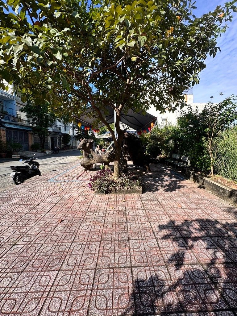 👑SIÊU PHẨM 2 MẶT TIỀN - 1.213,9m²– TRUNG TÂM THỊ TRẤN HÓC MÔN - CHỦ CHÀO 45T 🔆🔆🔆 - Ảnh 6