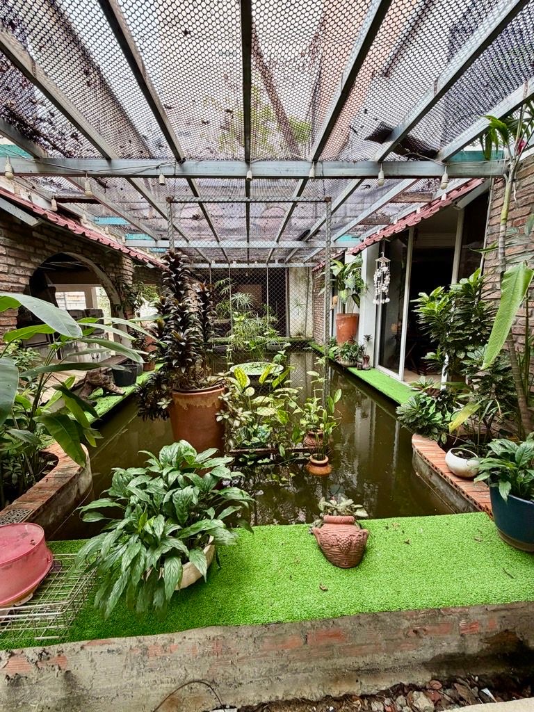 👑 BIỆT THỰ KHUÔN ĐẤT VÀNG HOÀNG HOA THÁM PN - 407m² – ĐÃ TÁCH 5 LÔ – GIÁ CHỈ 65 T– CÓ BÁN LẺ 🌼 - Ảnh 5