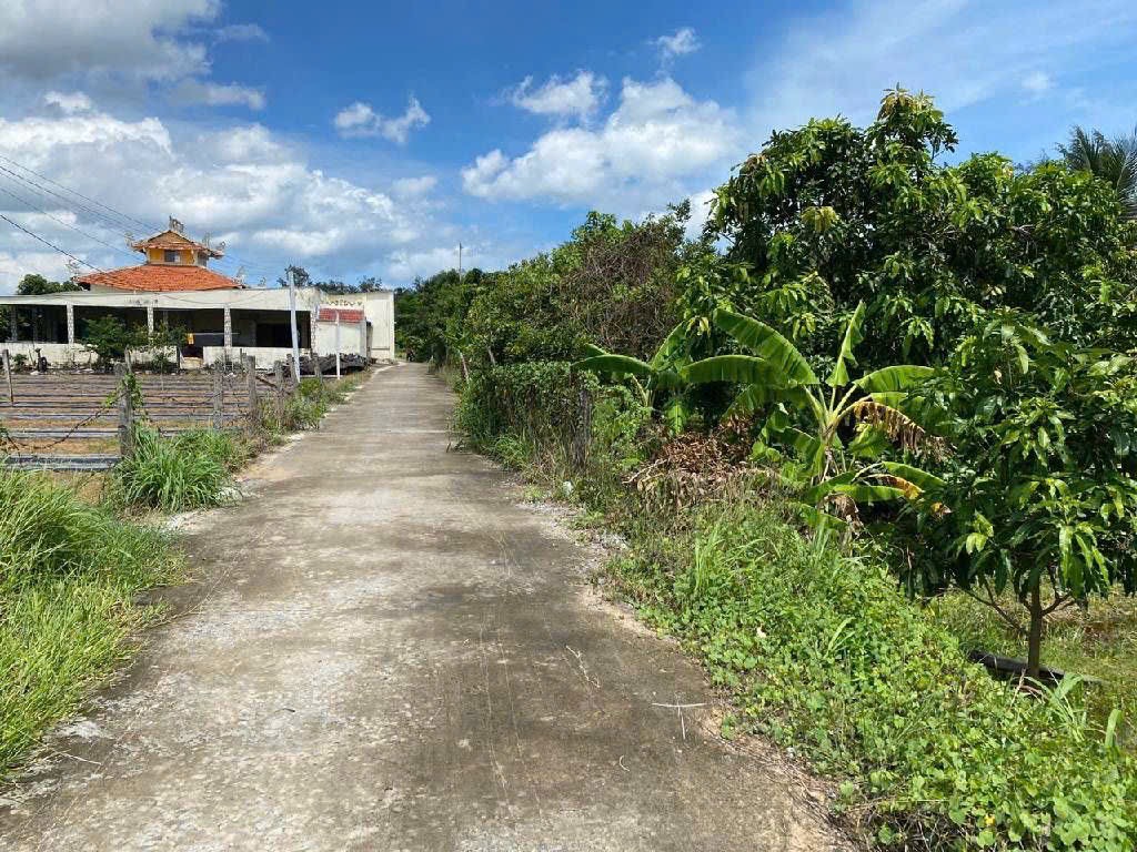 🌊 GẦN VINHOMES CẦN GIỜ - 4.644 m² - GIÁ MỀM – HÀNG HIẾM CHO NHÀ ĐẦU TƯ LỚN - CHỈ 117T 🔆🔆🔆 - Ảnh 3