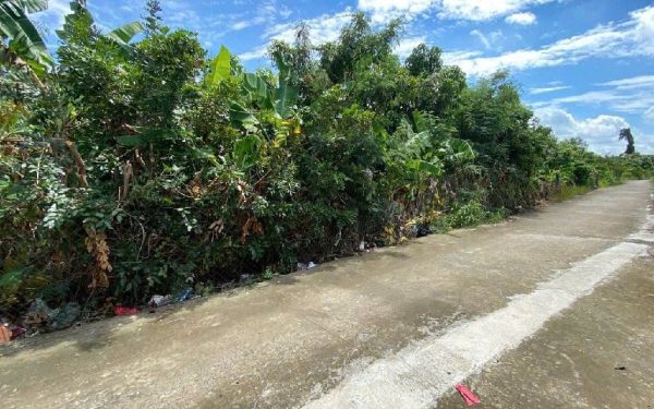 Alternative view of 🌊 GẦN VINHOMES CẦN GIỜ - 4.644 m² - GIÁ MỀM – HÀNG HIẾM CHO NHÀ ĐẦU TƯ LỚN - CHỈ 117T 🔆🔆🔆